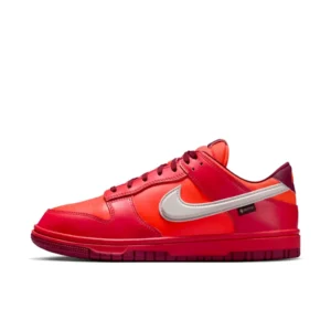 کفش کتونی روزمره مردانه نایک دانک لو گورتکس Dunk Low GORE-TEX